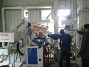 批发供应厂家直销组合碾米机成套设备 价格、图片与技术服务详解