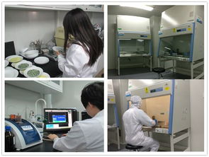 健康家电检测中心 测试计量技术研究所 环境与健康相关产品检测所简介与技术服务体系